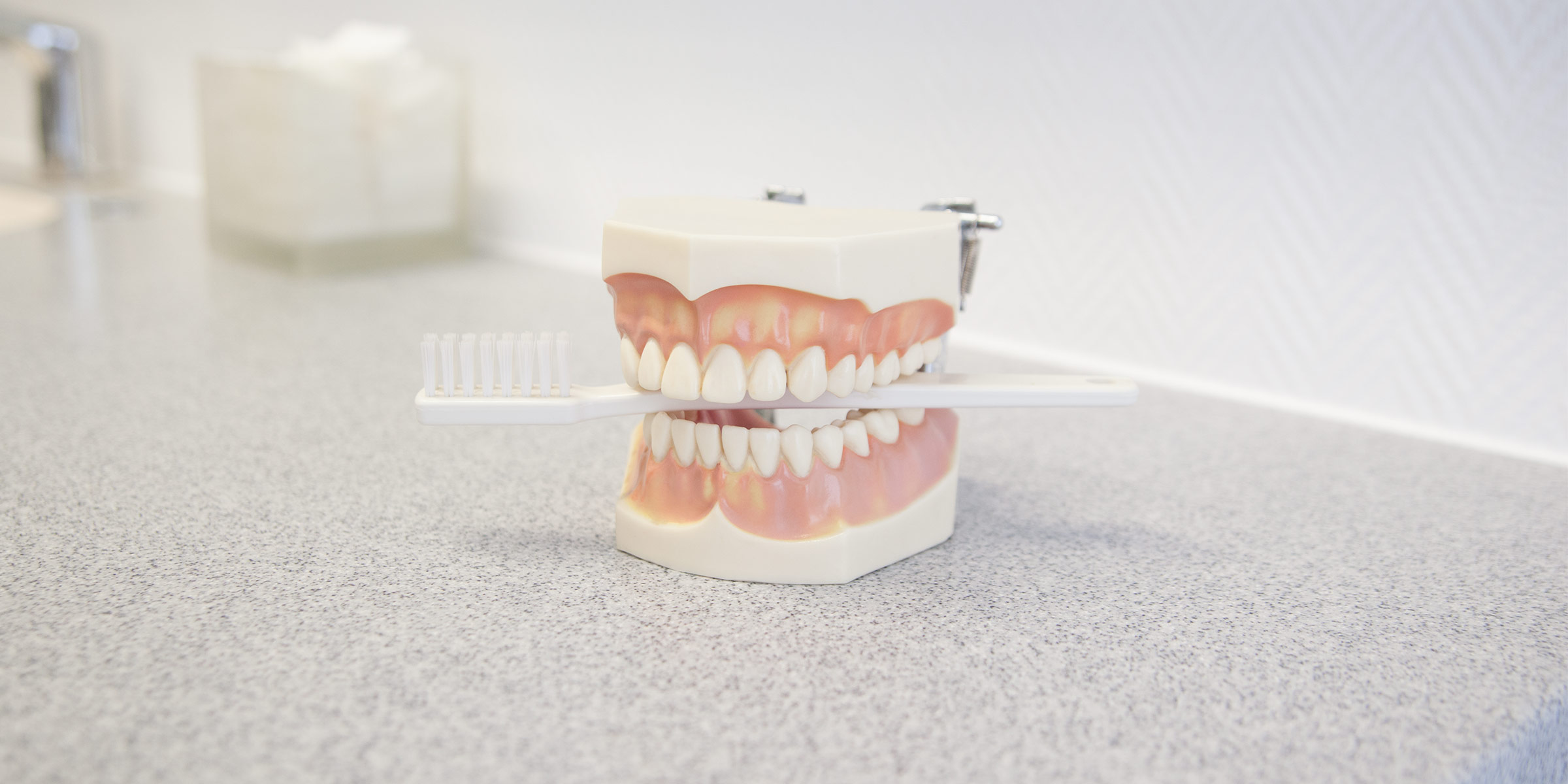 Schwerpunkte unserer Zahnarztpraxis